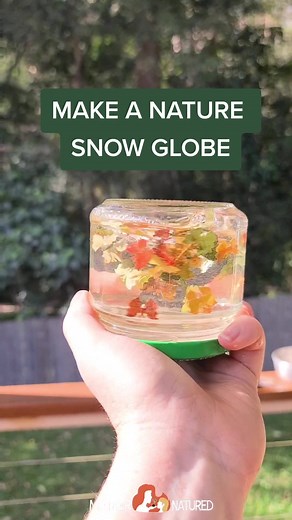 How to Make a Nature Snow Globe for Kids | Outdoor Craft Ideas