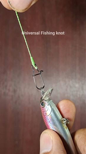 Easy tips for fishing v138 #palomar #fishing #fishingtips