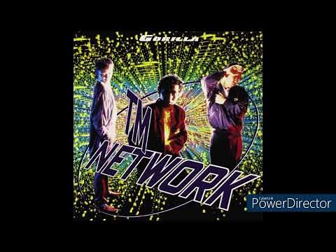 TMネットワーク GORILLA 当時斬新だったTMの代表作の一つでもあるアルバム