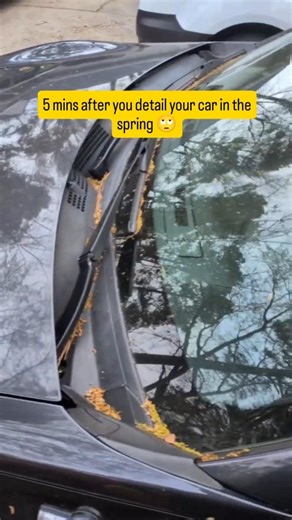 Pollen Season Is Brutal in NC