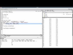 Introduction to style in R