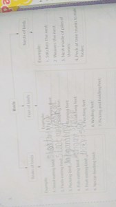 BirdsBeaks of birdsExample:Seed-eating bird:Flesh-eating ... | Filo