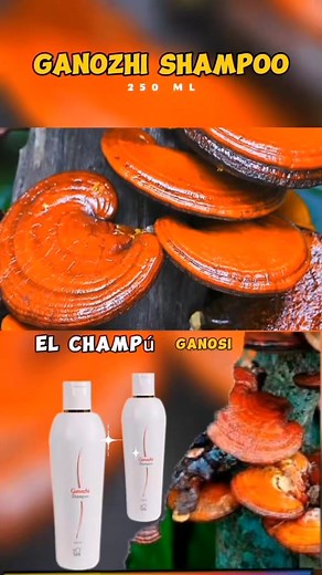 🧴 Shampoo Ganozhi de DXN ✨ Limpia y nutre tu cabello con extracto de Ganoderma lucidum y agentes suaves que protegen tu cuero cabelludo. ✅ Fortalece y da brillo ✅ Hidratación profunda ✅ Apto para todo tipo de cabello ✅ Uso diario sin resecar 📲 Pídelo aquí 👉 https://wa.me/51926167801 #ShampooGanozhi #DXNPeru #CuidadoCapilar #GanodermaLucidum #CabelloSano #DXNLatinoamérica | DXN Network