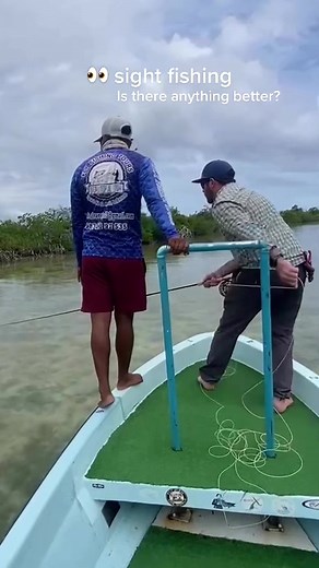 Sight fishing for bone fish in Mexico #flyfishing #fishing #fishtok #fishon #bonefishonfly #bonefish #saltwaterflyfishing #saltwaterfishing #viral
