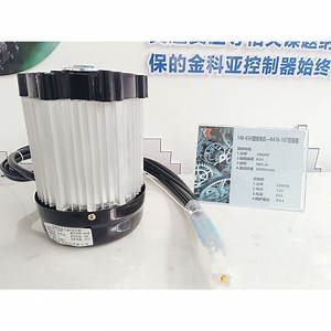 [Hot Item] High Torque Motor Durable Brushless DC Motor Brushless DC Motor with Hall Sensor