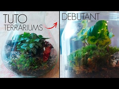 #TUTO | Atelier terrarium débutant ! (ft. une débutante 😅) D-Terrariums 🌿