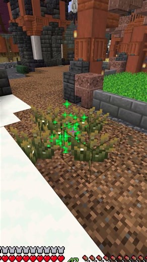 Bone Meal macht keinen Sinn in Minecraft