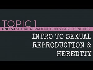 AP Biology: Intro to Sexual Reproduction & Heredity
