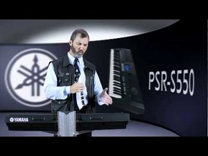 PSR S550