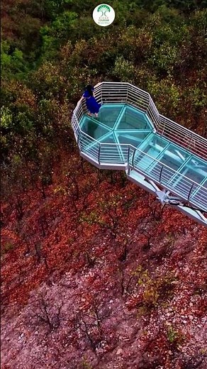 Experience thrill, height, and scenic beauty | Glass Bridge | Rajgir