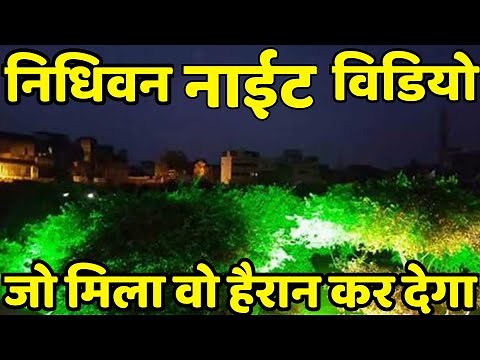 निधिवन की रात की रिकॉर्डिंग हैरान कर देगी आपको ! रात में जो हुआ वो देखकर चौंक जाओगे ! Nidhivan