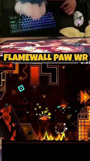ZOINK GETS THE WORLD RECORD ON FLAMEWALL!