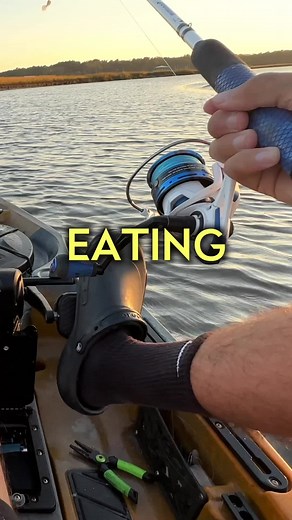 Eating what I catch from the Saltwater Creek! 🎣 #fishing #fish #firststatefishing #fyp