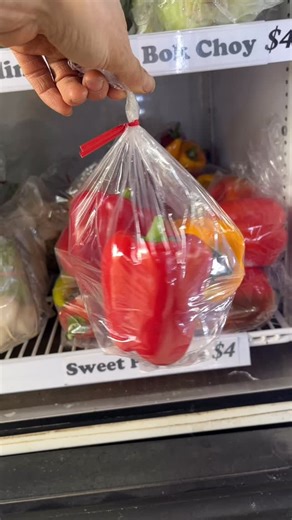 36 reactions | The Cincy Urban Farm store is stocked up! Today we harvested green beans, beets and broccolini we’ve been keeping the veggies warm with frost blankets and we’ve still got a solid selection of veggies for ya! We will let you know when the store closes for the season but for now come stock up on these local fresh veggies! Open 8am-8pm daily in Sharonville Ohio 3549 Creek Road 45241 | Cincy Urban Farm | Facebook