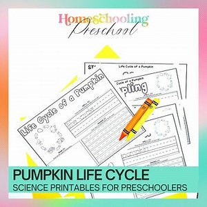 Pumpkin Life Cycle Activity Pages