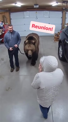 Matt on Instagram: "Why are bears and grandmas AI’s favorite muses? Big, readable shapes + cozy, familiar vibes = instant “aww.” Iconic silhouettes, thumbnail-friendly faces, and maximum nostalgia—aka algorithm catnip. Soft fur. Soft wrinkles. Soft hearts. 🐻👵✨ #AIArt #GenerativeAI #WholesomeContent #CozyVibes #GrandmaCore #BearHugs #CuteOverload #InternetCulture #MemeMagic #PromptArt #DigitalCreativity #viralvibes"