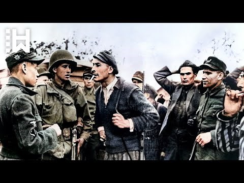 Execution of Nazi Guards during Dachau Liberation Reprisals - Dachau Massacre