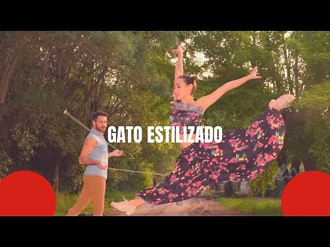 Gato Estilizado - Folklore Argentino