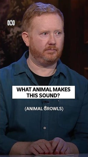 Is this the most terrifying animal sound you’ve ever heard?