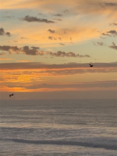 Agne Gilyte on Reels