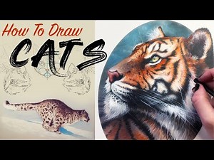 How To Draw Cats // Learn To Draw Realistically