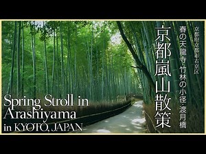 【京都／観光名所】京都嵐山散策／春の天龍寺・竹林の小径・渡月橋 - Spring Stroll in Arashiyama in KYOTO, JAPAN