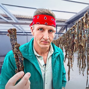 I Can't Believe They Allow This! 🐪 😳