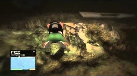 GTA5- How to find the Merryweather plane in the Alamo Sea!