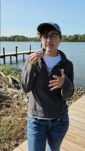 Electrofishing for invasive blue catfish