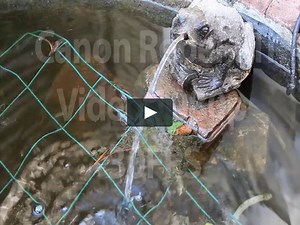 Canon Rebel T1i vs. Nikon D3100 Video Test