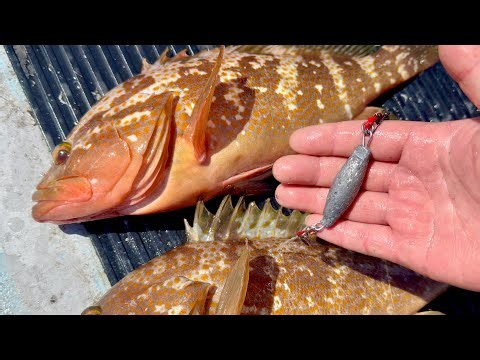 How to Catch a High-end Fish With Just a Hook and Lead From a $1 Shop By a Japanese Fisherman