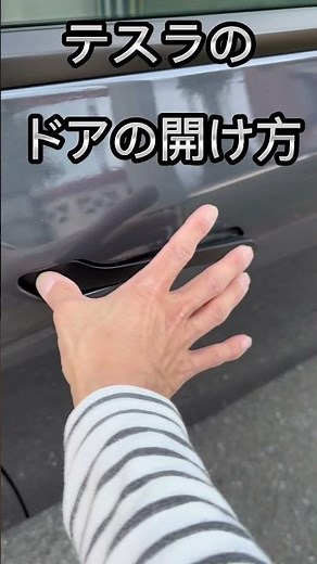 テスラのドアの開け方 How to open Tesla door #tesla #teslamodely #テスラ #テスラモデルy #teslamodel3 #テスラモデル3 #teslacars