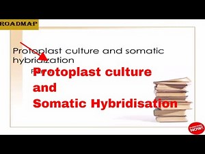 Protoplast culture and somatic hybridization part 1
