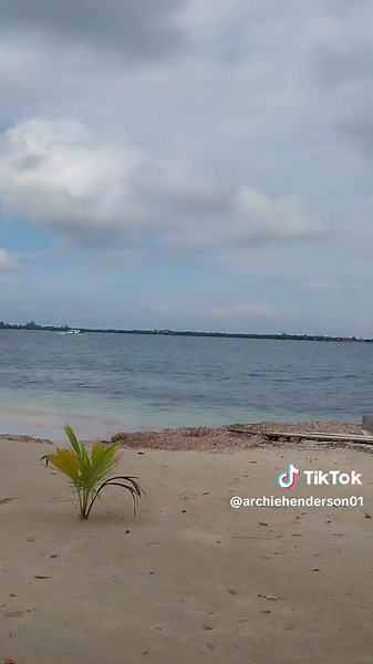 Videos de Archie Henderson965 (@archiehenderson01) con “original sound - Archie Henderson965”