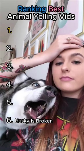 Ranking Best Animals Yelling Videos #animals #rankinganimals #ranking
