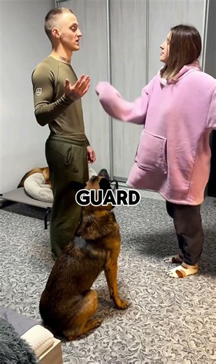 What Happens When a Guard Dog Test Goes Wrong | #shorts #facts