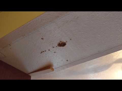 Installing upper wall cabinets from a ceiling or soffit