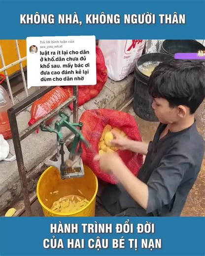 Trả lời @see_you_what #xuhuong #tiktok #trending