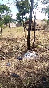 This land grabbing issue if not well handled, will oneday spark a real civil war. | Strike Machine