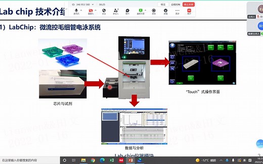 微流控Labchip 电泳分析技术及其应用