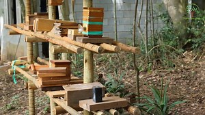 Seu Apoio é muito importante para manutenção da escola e novas aulas assim como novos vídeos , pix 11941075736 " Plantar em Casa " um Canal do Youtube que virou Espaço para dialogar sobre Fruticultura e sustentabilidade em convívio com a Natureza. * Se inscreva https://www.youtube.com/plantaremcasa / | Plantar em Casa | Facebook