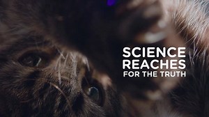 287 reactions · 23 shares | We believe pets have the power to transform our lives and that nutrition has the power to transform theirs. | Hill’s Pet Nutrition | Facebook