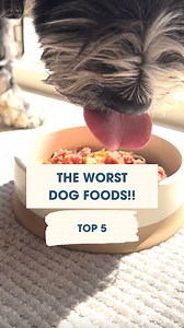 Do you want your dog to live longer? Then stop feeding it processed crap! ❌ Kibble isn’t balanced! During processing, it loses most of its nutrients. 🥴 Most pet food companies use low-quality, non-human grade ingredients – basically all the stuff we wouldn’t (or shouldn’t) eat. 🤢 They add animal fats, artificial flavours, sugar, and salt just to keep your dog coming back for more. 🚩 Pet food labels can be super misleading – with no real regulations! And how many of the ingredients do you even