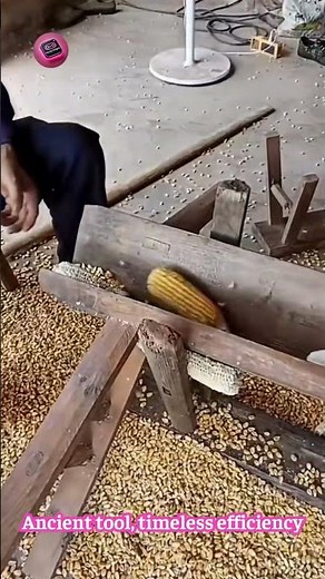 The Ancient Corn Sheller Still Used by Farmers Today