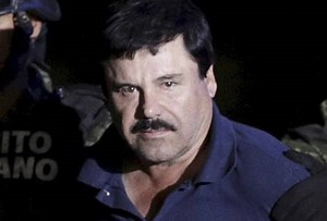 Dog tastes Mexican drug lord Guzman's jail food for poison