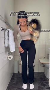 53K views · 1.1K reactions | Small dog owner things  #pomeranian #dog #funny | Mocha Pom | Facebook