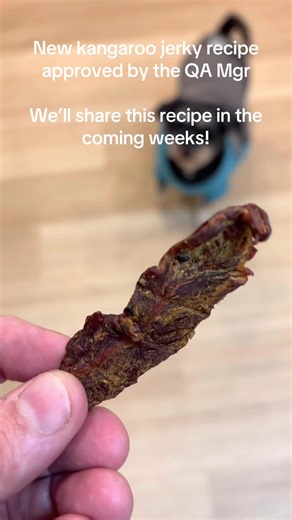 He hasn’t stopped wagging his tail in anticipation for more. New #kangaroo #jerky video coming soon. #albatrossbbq #ooohbbqfriends #traegergrills #smokingmeat #snacks #delicious