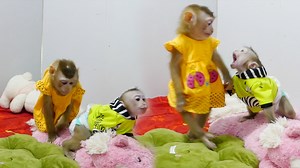 28K views · 3.4K reactions | Peaceful Time For Sara & Harry Playing Together In The Room While Mom Busy | Monkey Daily | Facebook