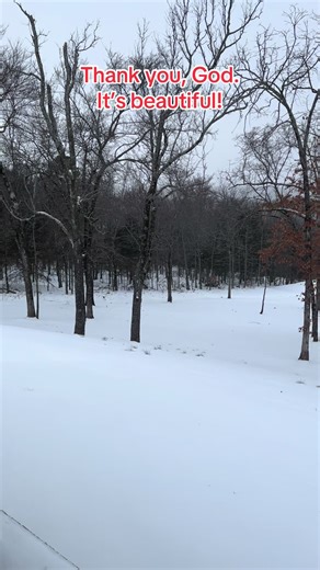 Snow in Arkansas is just humidity wearing a costume! #snow #arkansascheck #beautifull #viral #growmyaccount✅