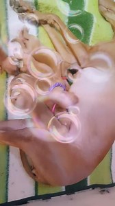 12 декабря 2019 г.